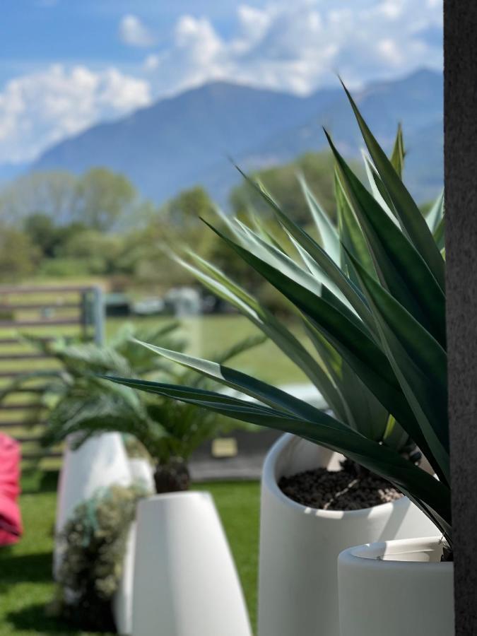 Art B&B Design Costa Volpino Εξωτερικό φωτογραφία