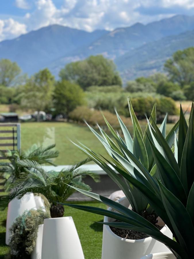 Art B&B Design Costa Volpino Εξωτερικό φωτογραφία