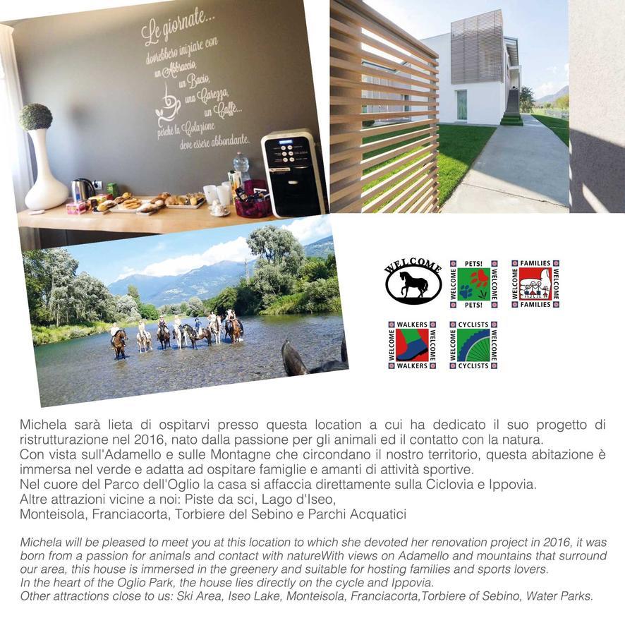 Art B&B Design Costa Volpino Εξωτερικό φωτογραφία