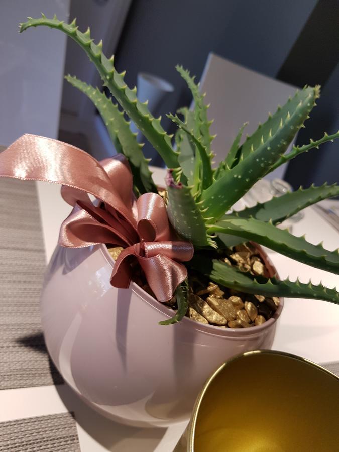Art B&B Design Costa Volpino Εξωτερικό φωτογραφία