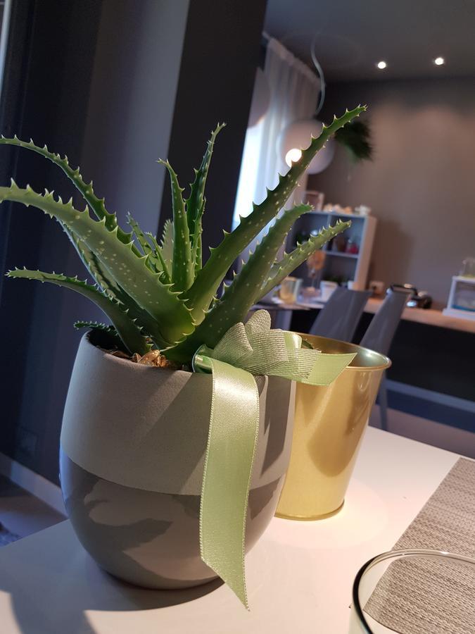Art B&B Design Costa Volpino Εξωτερικό φωτογραφία